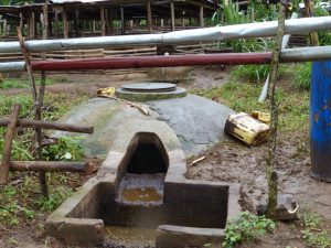 Biogas Leonard 1